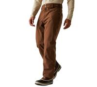 Dare2b Achieve Ii Pants Marron XS / Regular Homme