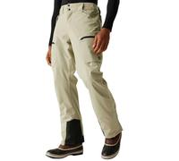 Dare2b Baseplate Ii Pants Beige XL / Regular Homme