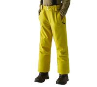 Dare2b Outmove Ii Pants Jaune 15-16 Years Garçons,Filles