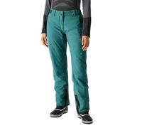 Dare2b Ice II Insulated Pants 36