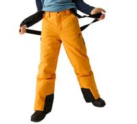 Dare2b Pow Iii Insulated Pants Jaune 9-10 Years Enfants