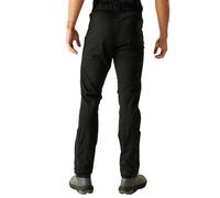Dare2b Roving Pants Noir 40 / Regular Homme
