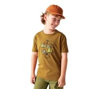 Dare2b T-shirt à Manches Courtes Trailblazer Iii