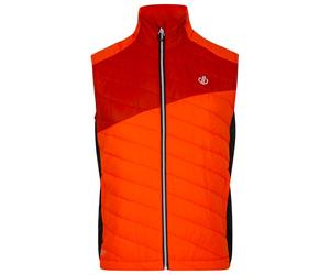 DARE2B - Touring Puffins Orange Rooibos Tea - L - Doudoune sans manches