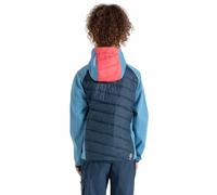Dare2b Veste Softshell Explore Hybrid