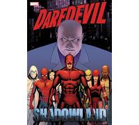 DAREDEVIL : SHADOWLAND Omnibus – Couverture Cassaday – Nouvelle impression – Marvel Comics