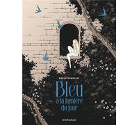 DARGAUD Bleu à la lumière du jour