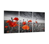 DarHaus Cache-plaque en verre - 3 x 30 x 52 cm - pour cuisinières électriques ou à induction - Plaque de protection anti-éclaboussures, planche à découper décorative aspect, Coquelicots Rouge