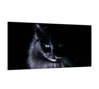 DarHaus Cache-plaque en verre - 90 x 52 cm - pour cuisinières électriques ou à induction - Plaque de protection anti-éclaboussures, planche à découper décorative aspect, Chat Noir