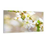 DarHaus Cache-plaque en verre - 90 x 52 cm - pour cuisinières électriques ou à induction - Plaque de protection anti-éclaboussures, planche à découper décorative aspect, Prunier Beige