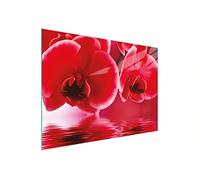 DarHaus Couvercle pour plaque de cuisson universelle en céramique, à induction, Planche à découper en verre 30 x 22 cm, protection anti-éclaboussures, plaque en verre, cuisine, Orchidée Rouge