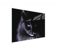 DarHaus Couvercle pour plaque de cuisson universelle en céramique, à induction, Planche à découper en verre 30 x 22 cm, protection anti-éclaboussures, plaque en verre, cuisine, Chat Noir