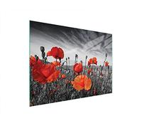 DarHaus Couvercle pour plaque de cuisson universelle en céramique, à induction, Planche à découper en verre 40 x 30 cm, protection anti-éclaboussures, plaque en verre, cuisine, Coquelicots Rouge