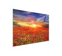 DarHaus Couvercle pour plaque de cuisson universelle en céramique, à induction, Planche à découper en verre 30 x 22 cm, protection anti-éclaboussures, plaque en verre, cuisine, Paysage Coquelicots