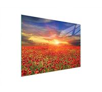 DarHaus Couvercle pour plaque de cuisson universelle en céramique, à induction, Planche à découper en verre 40 x 30 cm, protection anti-éclaboussures, plaque en verre, cuisine, Paysage Coquelicots