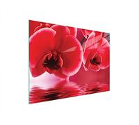 DarHaus Couvercle pour plaque de cuisson universelle en céramique, à induction, Planche à découper en verre 40 x 30 cm, protection anti-éclaboussures, plaque en verre, cuisine, Orchidée Rouge