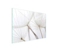 DarHaus Couvercle pour plaque de cuisson universelle en céramique, à induction, Planche à découper en verre 40 x 30 cm, protection anti-éclaboussures, plaque en verre, cuisine, Pissenlit Beige