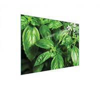 DarHaus Couvercle pour plaque de cuisson universelle en céramique, à induction, Planche à découper en verre 40 x 30 cm, protection anti-éclaboussures, plaque en verre, cuisine, Feuilles Vert