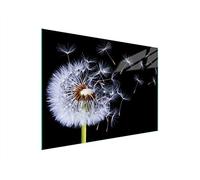 DarHaus Couvercle pour plaque de cuisson universelle en céramique, à induction, Planche à découper en verre 40 x 30 cm, protection anti-éclaboussures, plaque en verre, cuisine, Pissenlit Noir