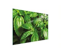 DarHaus Couvercle pour plaque de cuisson universelle en céramique, à induction, Planche à découper en verre 30 x 22 cm, protection anti-éclaboussures, plaque en verre, cuisine, Feuilles Vert