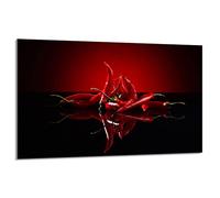 DarHaus Plaque de protection pour plaque de cuisson - 80 x 52 cm - 1 pièce - Protection contre les éclaboussures - Planche à découper - Chili Rouge