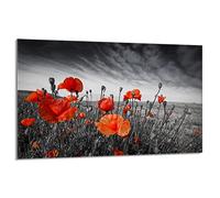 DarHaus Plaque de protection pour plaque de cuisson - 80 x 52 cm - 1 pièce - Protection contre les éclaboussures - Planche à découper - Coquelicots Rouge