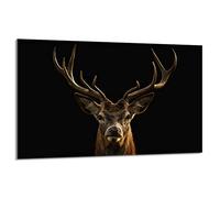 DarHaus Plaque de protection pour plaque de cuisson - 80 x 52 cm - 1 pièce - Protection contre les éclaboussures - Planche à découper - Cerf Noir