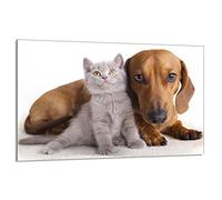 DarHaus Plaque de protection pour plaque de cuisson - 80 x 52 cm - 1 pièce - Protection contre les éclaboussures - Planche à découper - Chat Chien