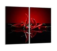 DarHaus Plaque de protection universelle pour plaque de cuisson 2x30x52cm Pour plaques de cuisson Protection contre les éclaboussures Planche a découper en verre trempé Décoration, Chili Rouge