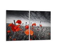 DarHaus Plaque de protection universelle pour plaque de cuisson 2x40x52cm Pour plaques de cuisson Protection contre les éclaboussures Planche découper en verre trempé Décoration, Coquelicots Rouge