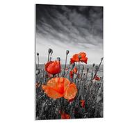 DarHaus Plaque de recouvrement, 30 x 52 cm, en verre, pour cuisinières électrique, à induction, convient comme décoration, protection anti-éclaboussures ou planche à découper, Coquelicots Rouge