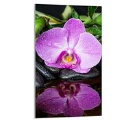 DarHaus Plaque de recouvrement, 30 x 52 cm, en verre, pour cuisinières électrique, à induction, convient comme décoration, protection anti-éclaboussures ou planche à découper, Orchidée Violet
