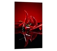 DarHaus Plaque de recouvrement, 30 x 52 cm, en verre, pour cuisinières électrique, à induction, convient comme décoration, protection anti-éclaboussures ou planche à découper, Chili Rouge