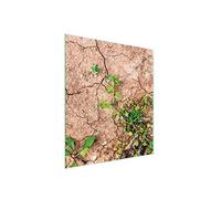 DarHaus Plaque de recouvrement, 45 x 52 cm, en verre, pour cuisinières électrique, à induction, convient comme décoration, protection anti-éclaboussures ou planche à découper, Beige