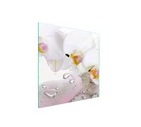 DarHaus Plaque de recouvrement, 50 x 52 cm, en verre, pour cuisinières électrique, à induction, convient comme décoration, protection anti-éclaboussures ou planche à découper, Orchidée Blanc