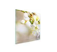 DarHaus Plaque de recouvrement, 50 x 52 cm, en verre, pour cuisinières électrique, à induction, convient comme décoration, protection anti-éclaboussures ou planche à découper, Prunier Beige