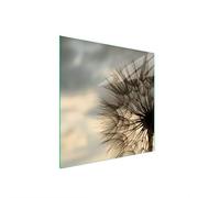 DarHaus Plaque de recouvrement, 50 x 52 cm, en verre, pour cuisinières électrique, à induction, convient comme décoration, protection anti-éclaboussures ou planche à découper, Pissenlit Beige