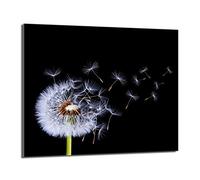 DarHaus Plaque de recouvrement, 60 x 52 cm, en verre, pour cuisinières électrique, à induction, convient comme décoration, protection anti-éclaboussures ou planche à découper, Pissenlit Noir