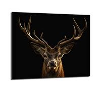 DarHaus Plaque de recouvrement, 60 x 52 cm, en verre, pour cuisinières électrique, à induction, convient comme décoration, protection anti-éclaboussures ou planche à découper, Cerf Noir