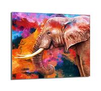 DarHaus Plaque de recouvrement, 60 x 52 cm, en verre, pour cuisinières électrique, à induction, convient comme décoration, protection anti-éclaboussures ou planche à découper, Éléphant coloré