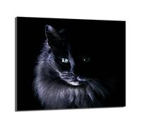 DarHaus Plaque de recouvrement, 60 x 52 cm, en verre, pour cuisinières électrique, à induction, convient comme décoration, protection anti-éclaboussures ou planche à découper, Chat Noir