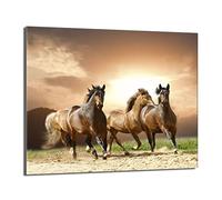 DarHaus Plaque de recouvrement, 60 x 52 cm, en verre, pour cuisinières électrique, à induction, convient comme décoration, protection anti-éclaboussures ou planche à découper, Les chevaux