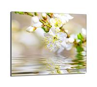 DarHaus Plaque de recouvrement, 60 x 52 cm, en verre, pour cuisinières électrique, à induction, convient comme décoration, protection anti-éclaboussures ou planche à découper, Prunier Beige