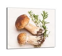 DarHaus Plaque de recouvrement, 60 x 52 cm, en verre, pour cuisinières électrique, à induction, convient comme décoration, protection anti-éclaboussures ou planche à découper, Champignons Légumes