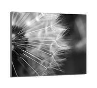 DarHaus Plaque de recouvrement, 60 x 52 cm, en verre, pour cuisinières électrique, à induction, convient comme décoration, protection anti-éclaboussures ou planche à découper, Pissenlit Fleur