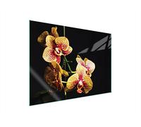 DarHaus Plaque de recouvrement, 70 x 52 cm, en verre, pour cuisinières électrique, à induction, convient comme décoration, protection anti-éclaboussures ou planche à découper, Orchidée Noir