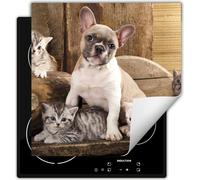 DarHaus Plaque de recouvrement pour cuisinière 60x52 cm Tapis antidérapant Enroulable, chats et chiens
