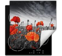 DarHaus Plaque de recouvrement pour four 60x52 cm Tapis antidérapant Enroulable, gris - rouge - Coquelicots