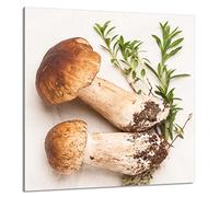 DarHaus Protection anti-éclaboussures en verre trempé 60 x 65 cm - Verre décoratif avec ruban adhésif - Paroi arrière en verre pour cuisine - Plaque de protection induction, Champignons Légumes