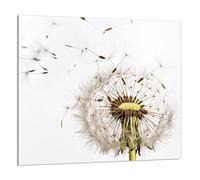 DarHaus Protection anti-éclaboussures en verre trempé 65 x 60 cm - Verre décoratif avec ruban adhésif - Paroi arrière en verre pour cuisine - Plaque de protection induction, Pissenlit Blanc